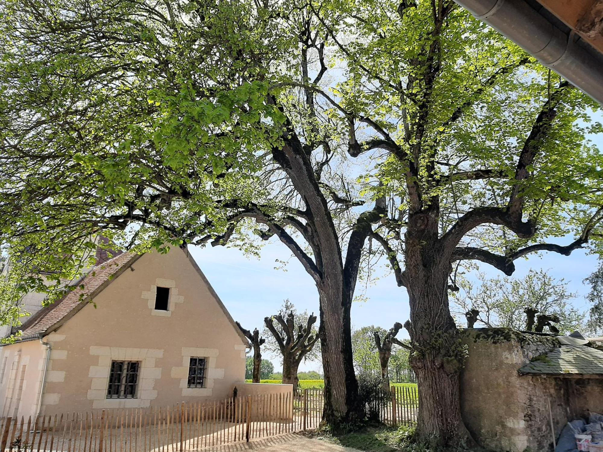 Le Puits Renaissance - Gites De Caractere Et Piscine Chauffee Chambourg-sur-Indre Esterno foto